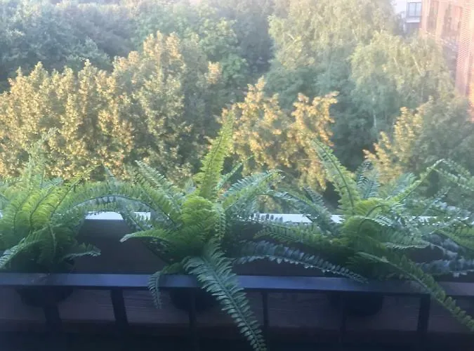 Apartman Grzybowska 6/10 *