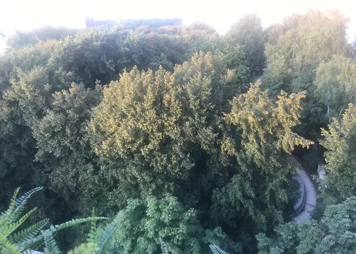 Grzybowska 6/10 Apartman