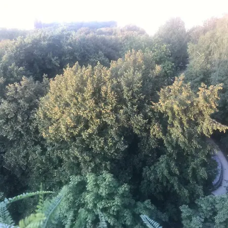 Grzybowska 6/10 Appartement